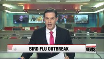 Korea confirms first outbreaks of H5N6 bird flu at poultry farms