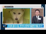 조양호, ‘청와대 진돗개’ 때문에 출장 갔다?_채널A_뉴스TOP10