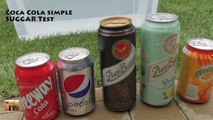 Coca Cola vs Pepsi Cola vs Fanta vs Beer - Science Experiments with Coca-Cola