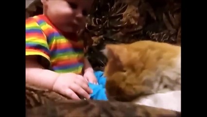 Gatti e Bambini...sarà Amore o Odio!?