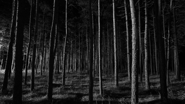 Ходячие мертвецы 7 сезон 5 серия смотреть онлайн в переводе лостфильм