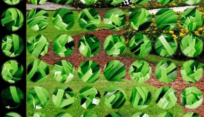 Lopez G Landscaping LLC - (513) 722-6731