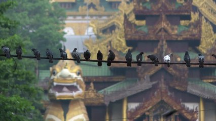 Extrait 2 Birmanie, l'éveil au monde