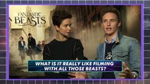 Fantastic Beasts And Where To Find Them | Casts Fave Creatures BEHIND THE SCENES | MTV