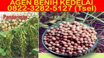 0822-3282-5127 (Tsel), Beli Bibit Kedelai