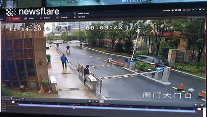 Chinese Special Forces Take Down Wild Boar in Dramatic Rescue 🐗