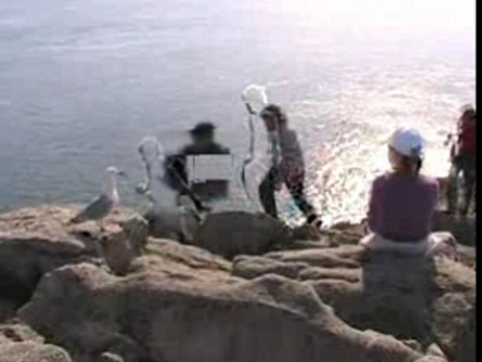 Pointe du Raz micro interne