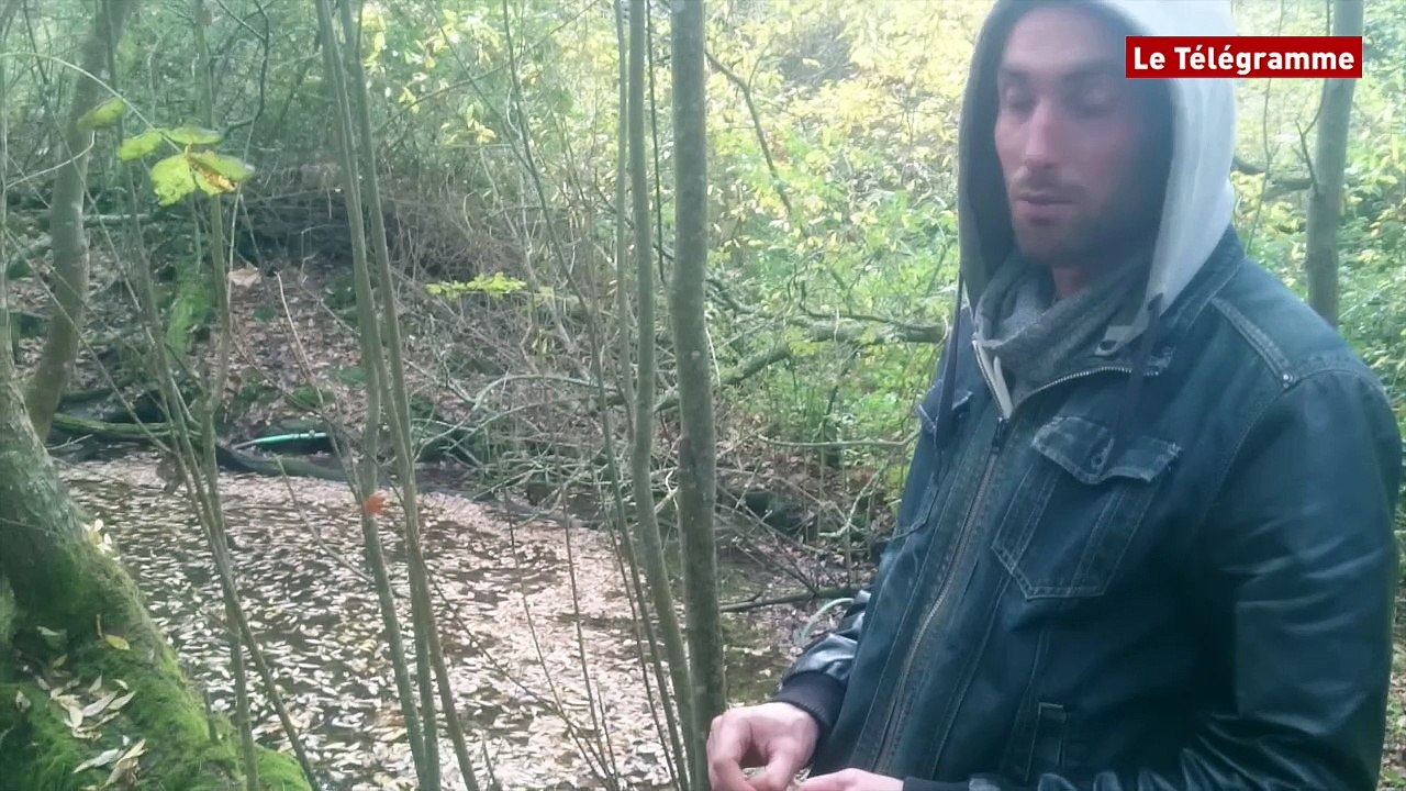 Plougastel-Daoulas (29). Sangliers : saccages dans les cultures