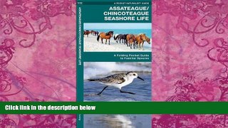 Buy  Assateague/Chincoteague Seashore Life: A Folding Pocket Guide to Familiar Species (Pocket