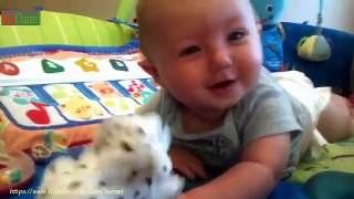 Funny Babies Laughing ★ Best Funny Kids Videos 2016