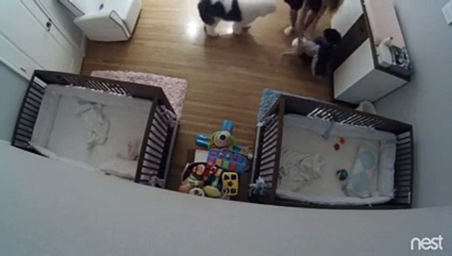 Il rattrape son petit frère qui tombe de la table à langer !