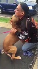 Un homme retrouve son chien volé après 2 ans de séparation
