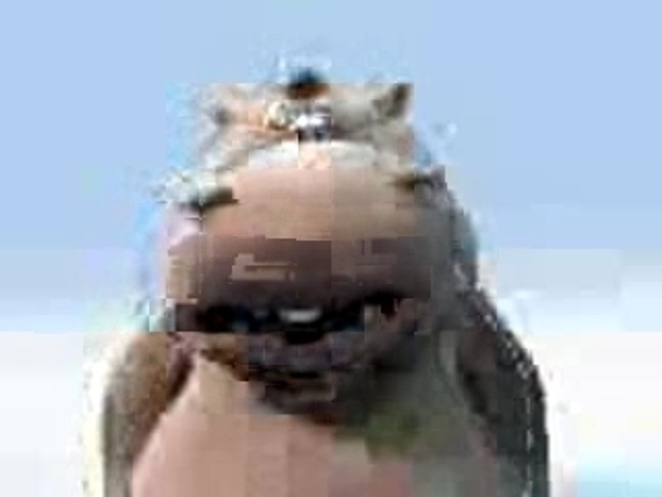 Jendouba
