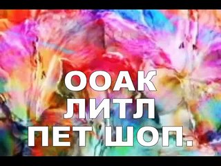 ООАК Литл Пет Шоп OOAK little Pet Shop