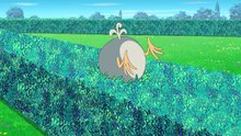 Oggy and the Cockroaches - Oggy and the Dodo bird (S04E57) Full Episode in HD2016