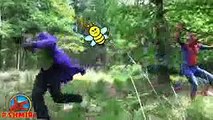 Spiderman vs BEES w Joker and Hulk Bees Spiderman in Real Life Superhero Movie SHMIRL