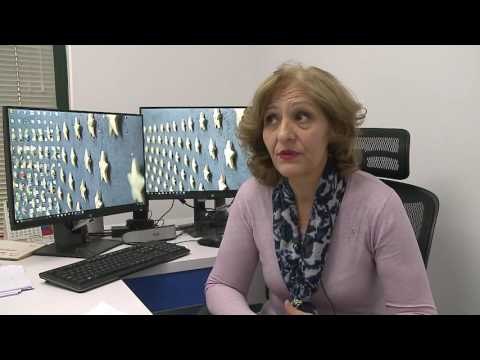 Dhuna në familje, në Tiranë denoncohen 4 raste në ditë- Top Channel Albania - News - Lajme