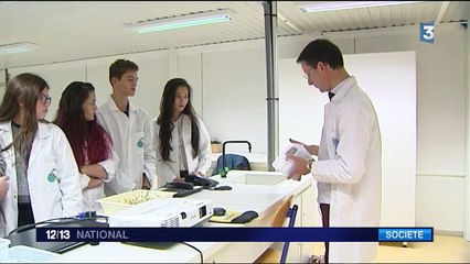 Sciences : des lycéens font pousser des radis comme dans l'espace