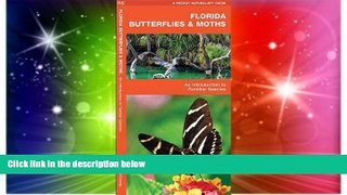 Buy NOW #A# Florida Butterflies   Moths: A Folding Pocket Guide to Familiar Species (Pocket