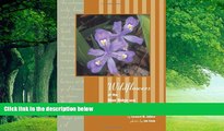 Buy  Wildflowers of Blue Ridge and Great Smoky Mountains Leonard Adkins  Full Book