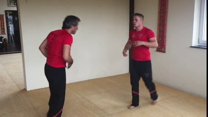 WTAA Dai Sifu Ataman Training mit Sifu Igor & Sifu Cetin