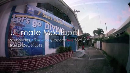 Ultimate scuba diving compilation in Moalboal, Philippines