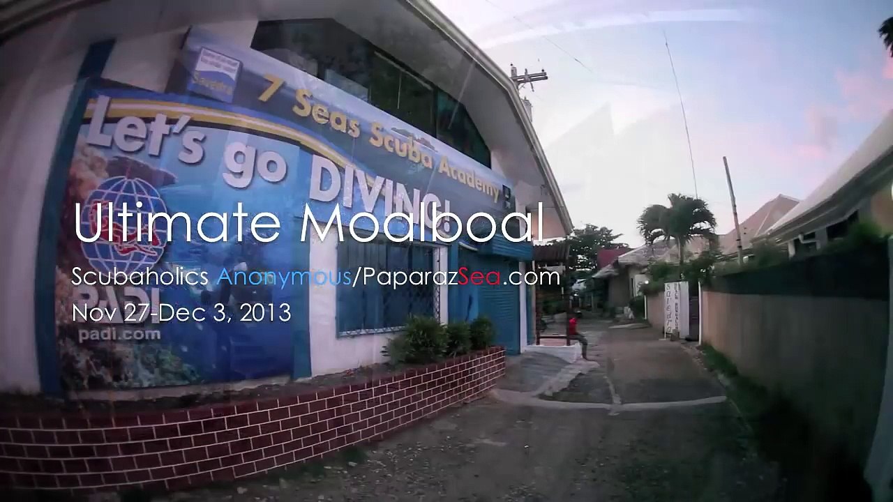 Ultimate scuba diving compilation in Moalboal, Philippines