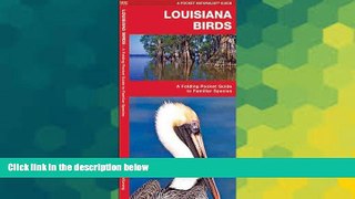 Buy #A# Louisiana Birds: A Folding Pocket Guide to Familiar Species (Pocket Naturalist Guide