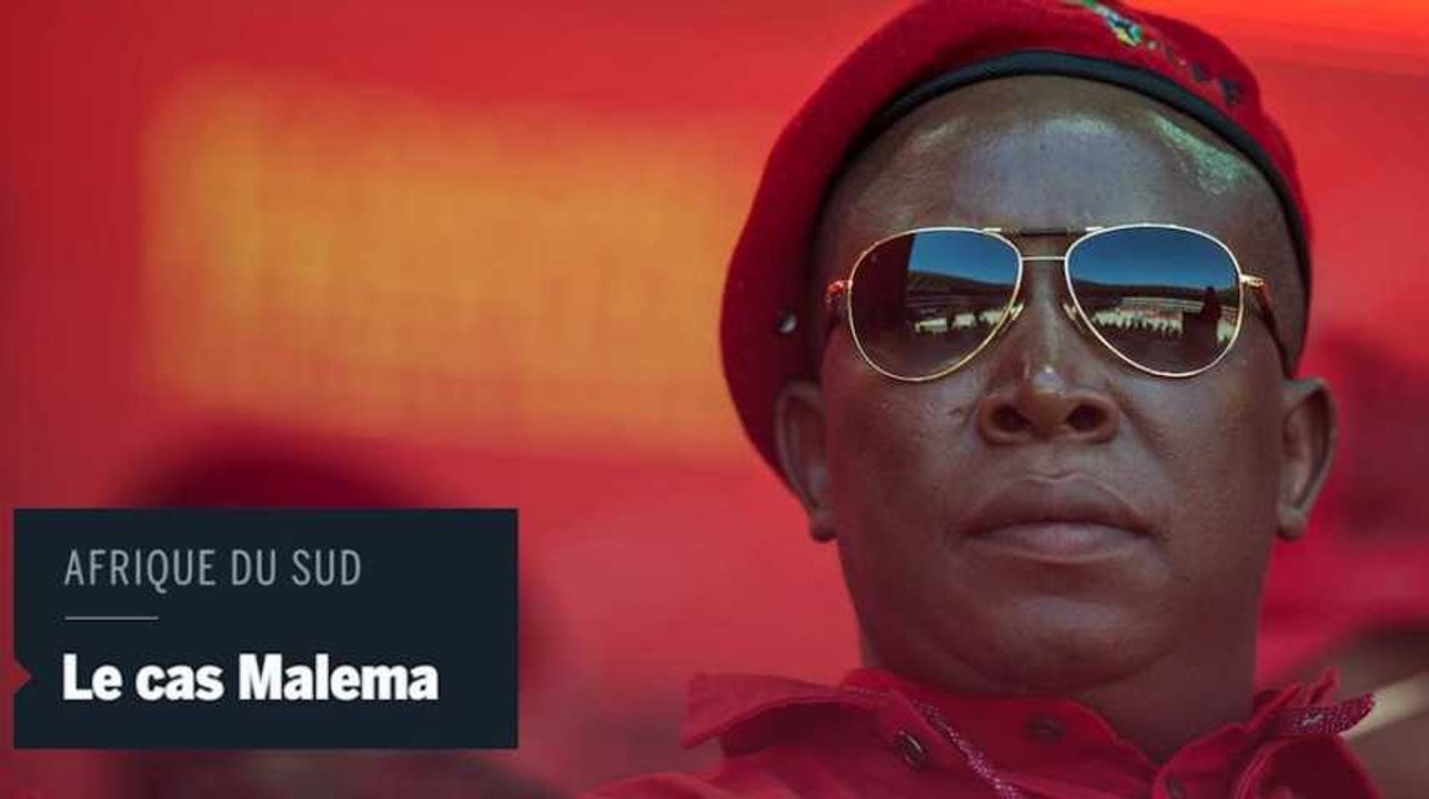 Qui est Julius Malema, l'homme qui veut exproprier les Blancs sud-Africains?