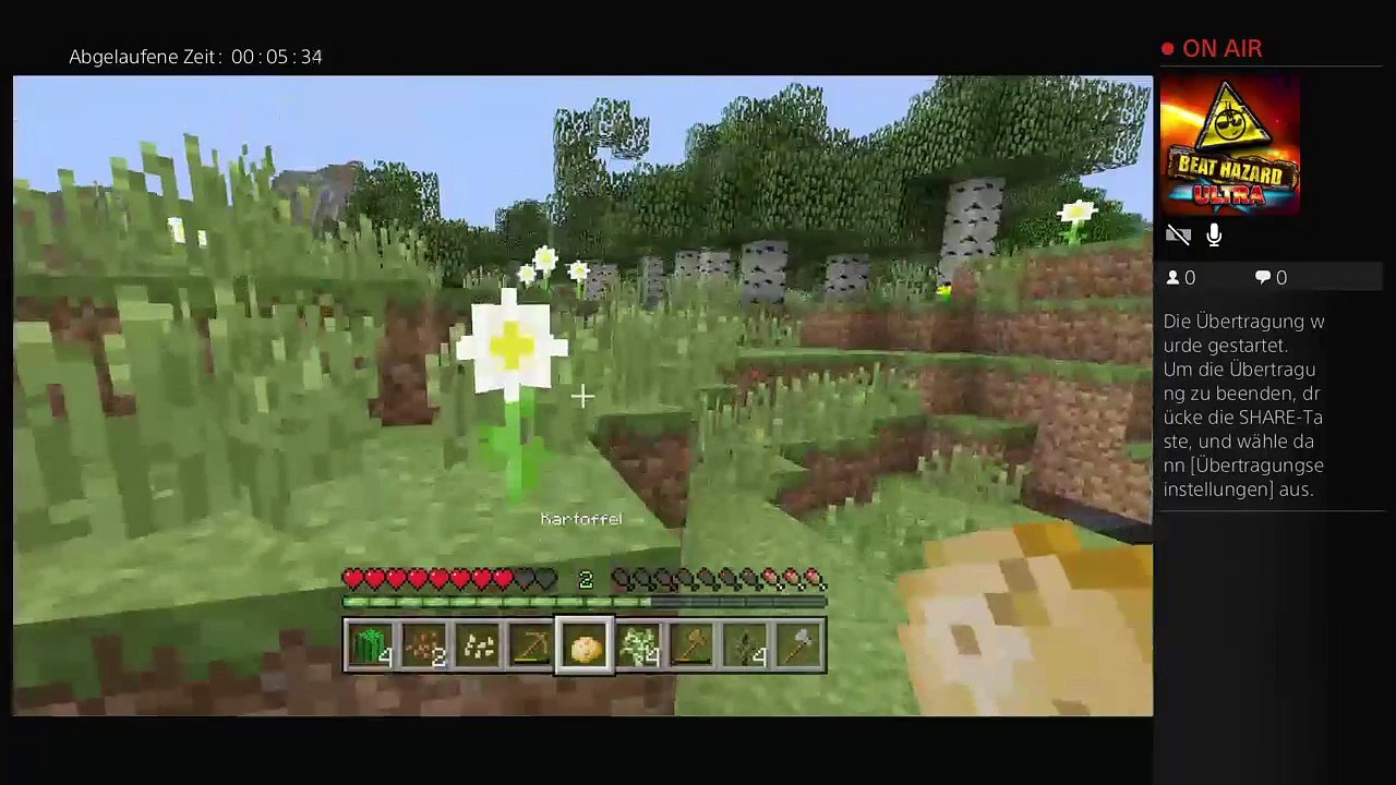 Mein erster stream (2)