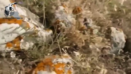 Projectile fired by ISIS fails to penetrate the hull of FSA tank (Syria)