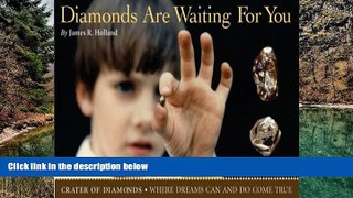 Buy #A# Diamonds Are Waiting For You: Crater of Diamonds, Where Dreams Can And Do Come True  On Book