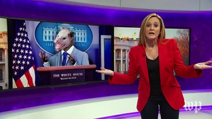 Late-night laughs: Trump's Cabinet and transition team