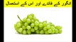 Grapes Uses and Health Benefits in Urdu - Angoor Ke Faide Aur Is Kay Istemal