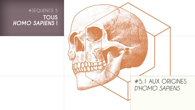 MOOC Les origines de l’Homme, Séquence 5.1. Aux origines d'Homo sapiens