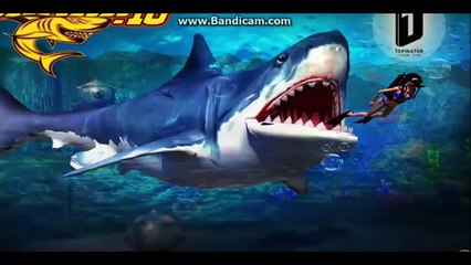 SHARK İO GAMES