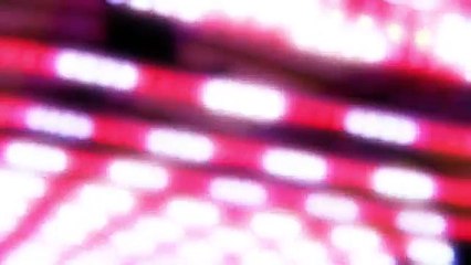 ALADIN 135 - Reflet