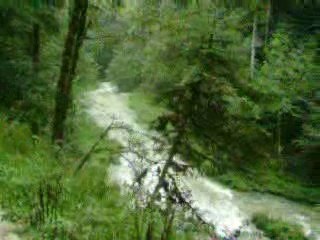 Paysages de Vacances 2