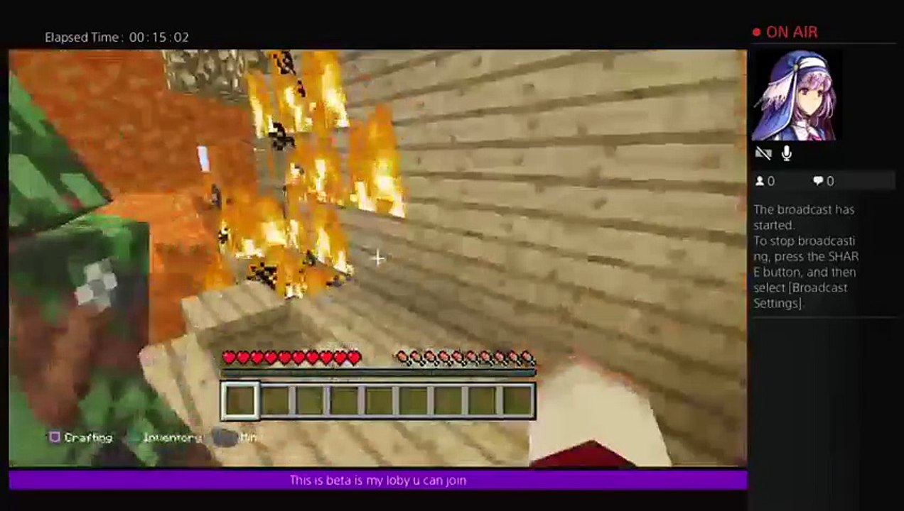 Minecraft  loby