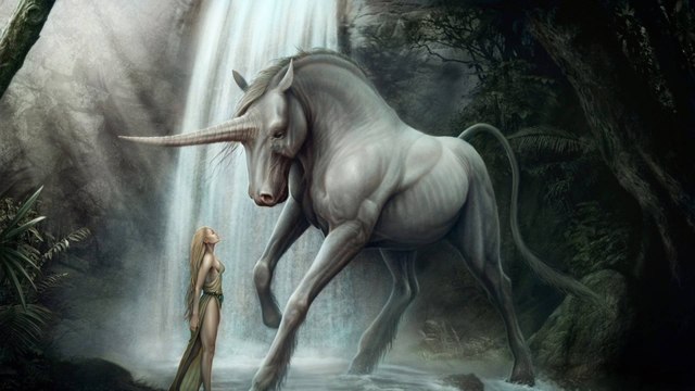 ✪ ＳＯＬＦＯＲＧＥ ✪ ❀ 0019 ❀