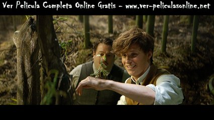 Animales fantásticos y dónde encontrarlos Gratis Online completa en castellano