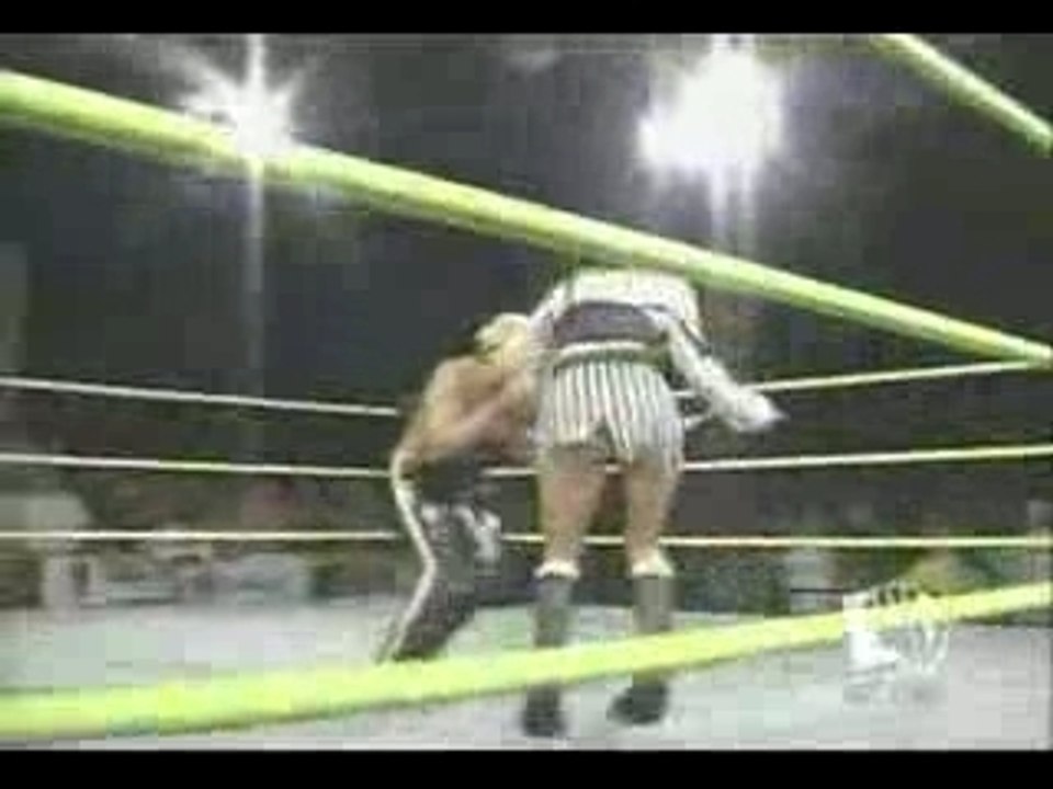 Shelly Martinez vs. Beth Phoenix