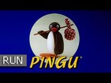 Run - Pingu: Sekai de Ichiban Genki na Penguin - Game Boy (1080p 60fps)