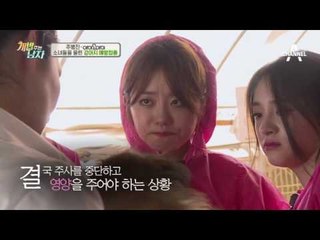 [선공개] I.O.I 아이오아이 소혜, 유기견들 현실에 참았던 눈물 펑펑