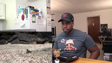 WWN:  Iguana Chases by Snakes!!!