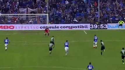 2-2 Luis Muriel Goal HD Sampdoria 2 - 2 Sassuolo 20.11.2016