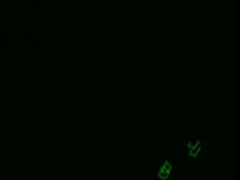 Un des premiers entrainements Juin 2007