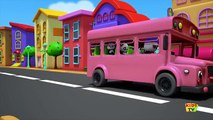 Bao Panda | the wheels on the bus | nursery rhymes