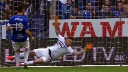 Sampdoria vs Sassuolo 3-2 All Goals and Highlights 20-11-2016