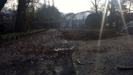 La tempête Nanette souffle sur Liège 2